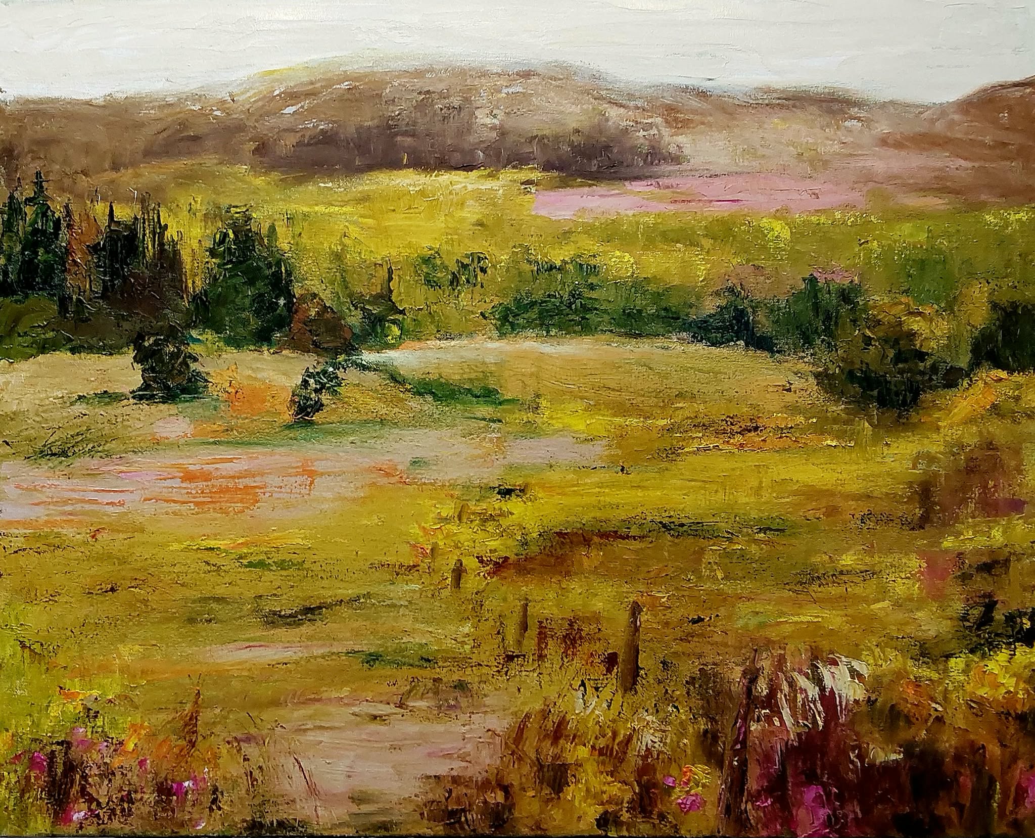 Paysage plaine