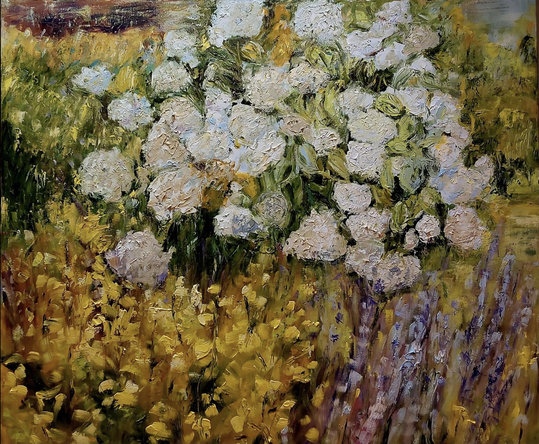 Vendu poireaux