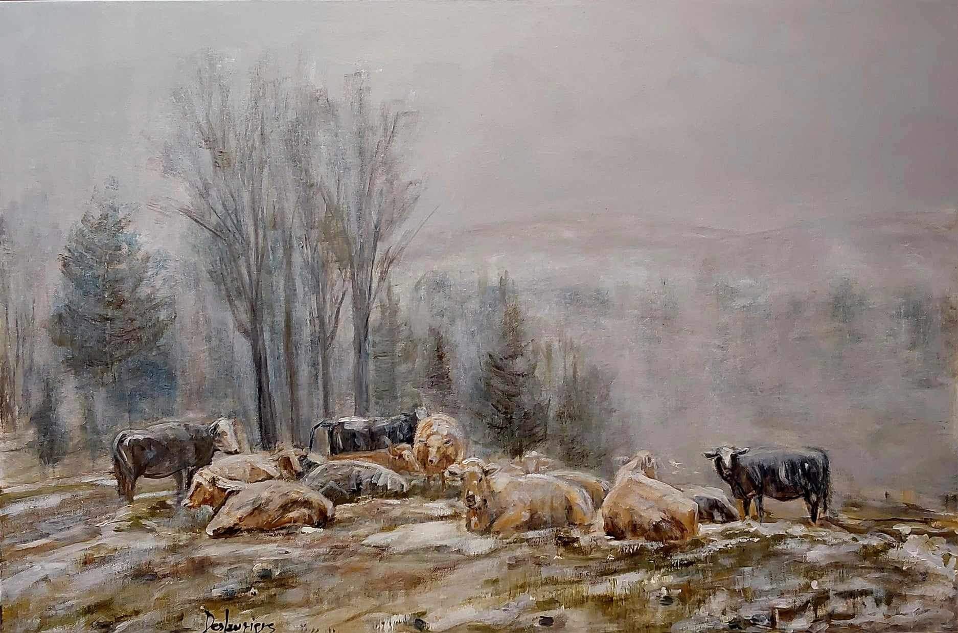 Pré de vaches Masonville nouvelle neige