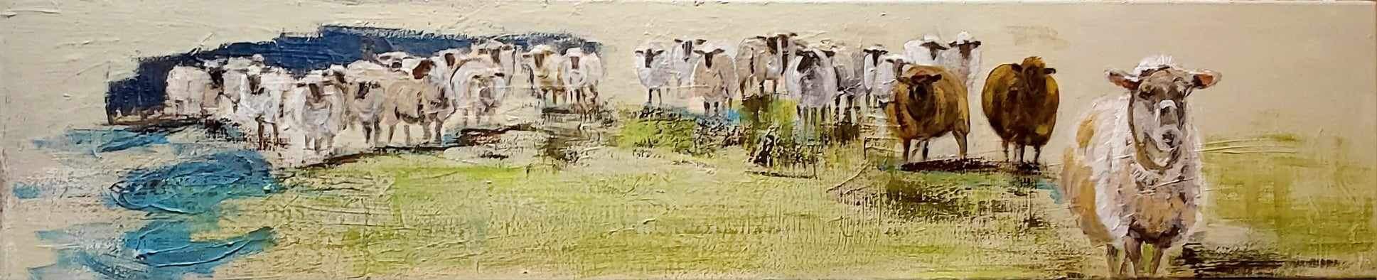 Troupeau de moutons
