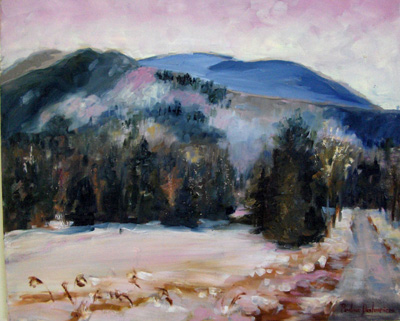 Paysage d’hiver en Estrie