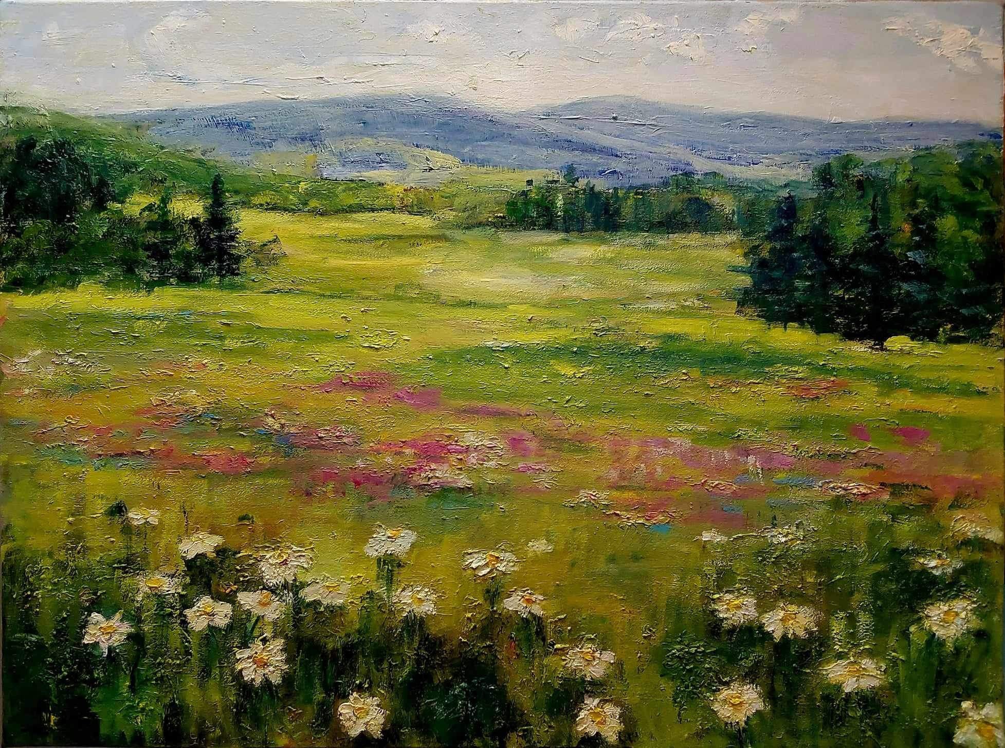 Paysage plaine de fleurs  sauvage en été