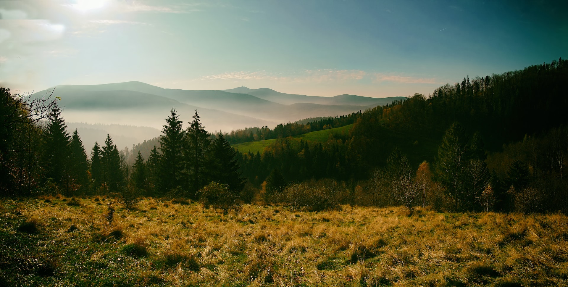 Paysages bucoliques