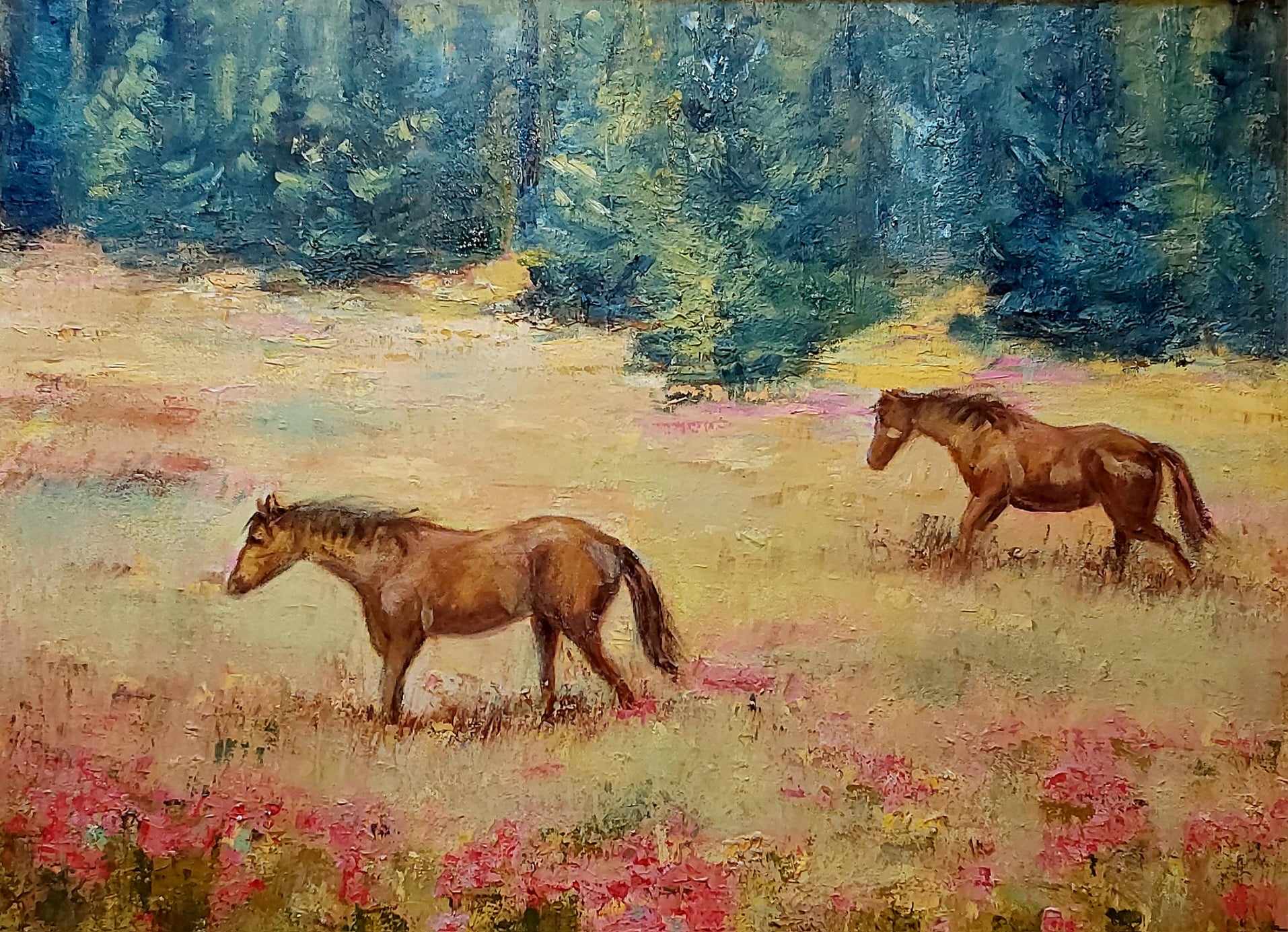 Chevaux  liberté