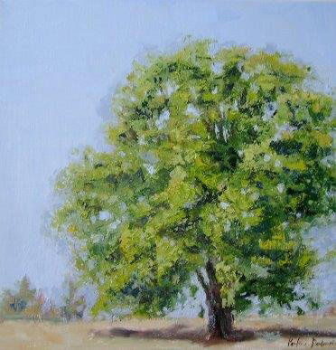 Paysage arbre en été