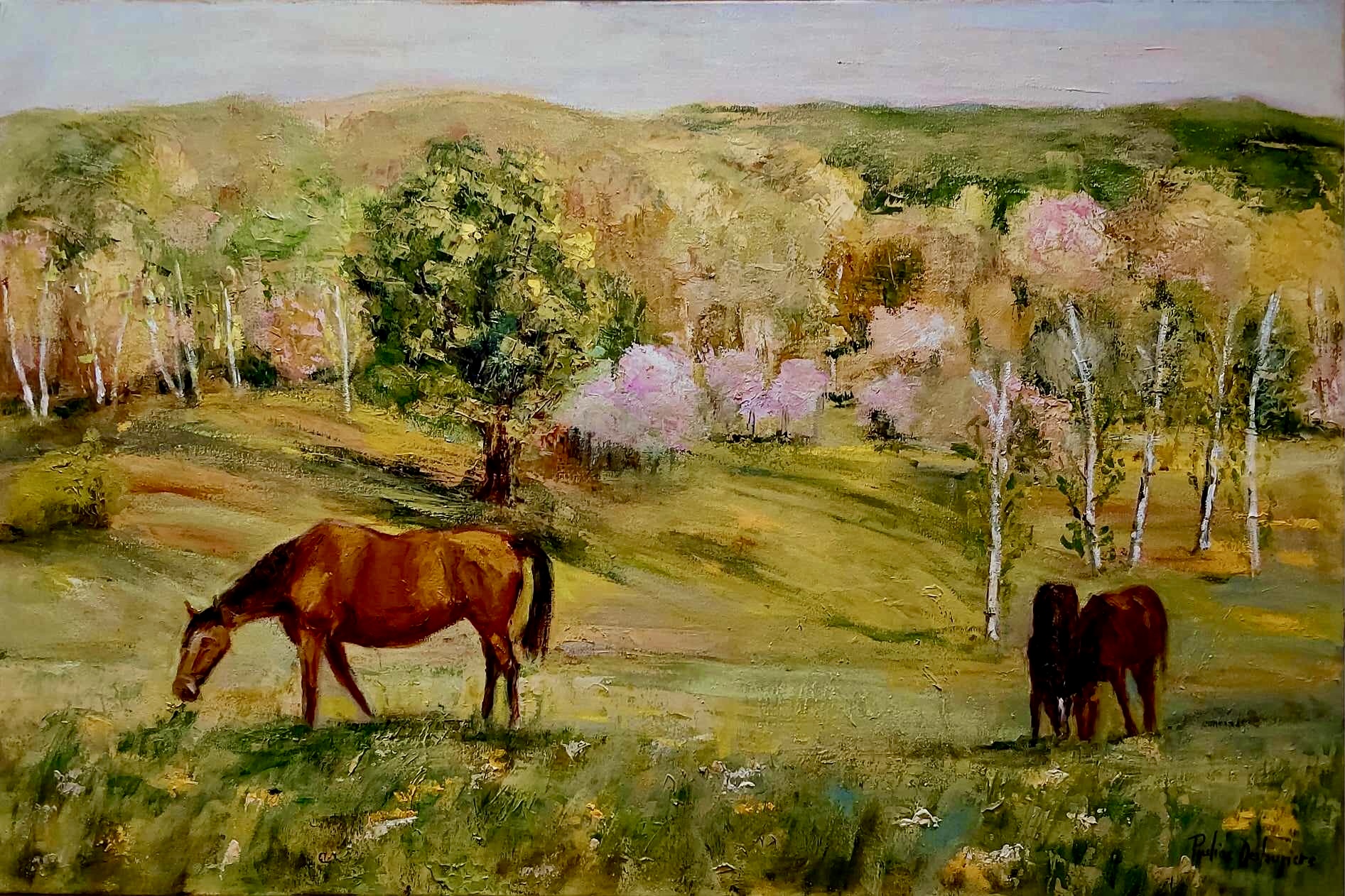 Moment de grâce chevaux