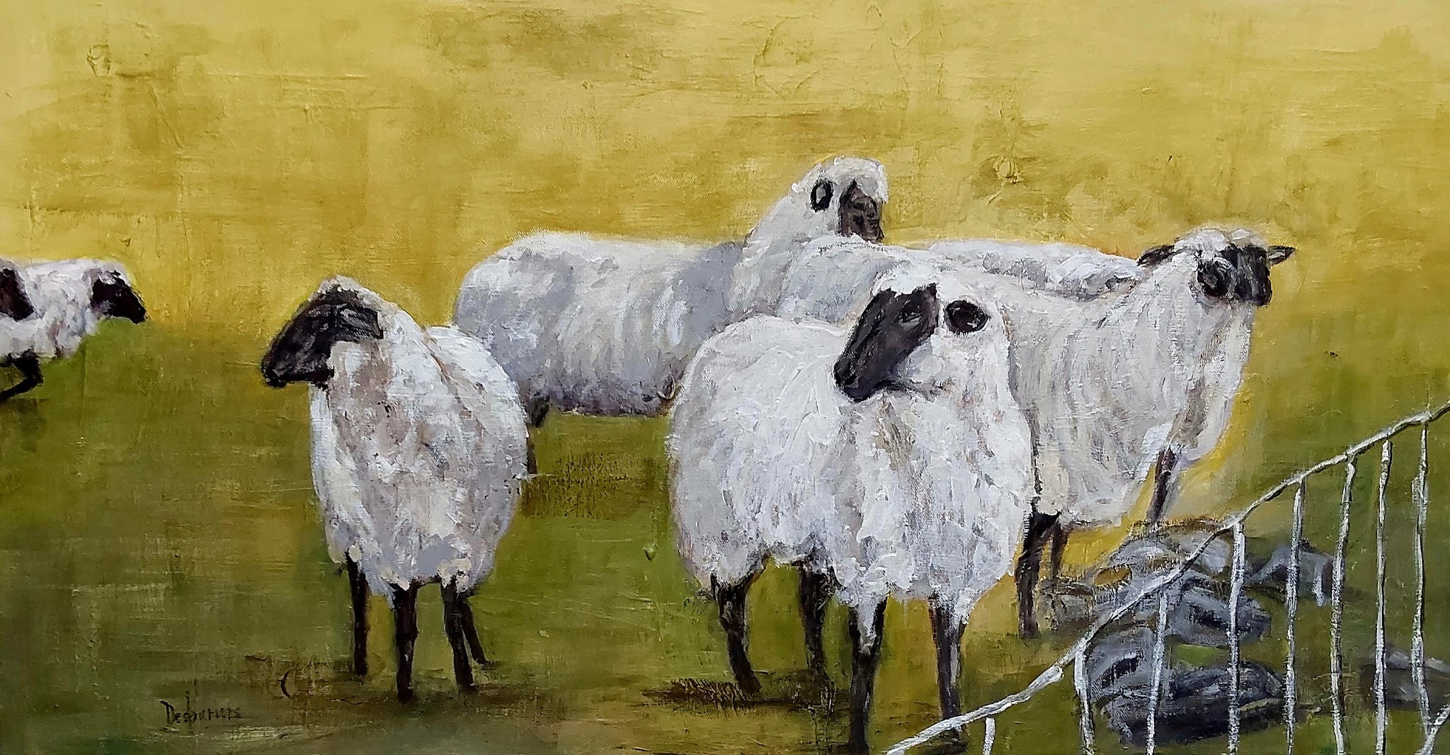 Pâturage de moutons